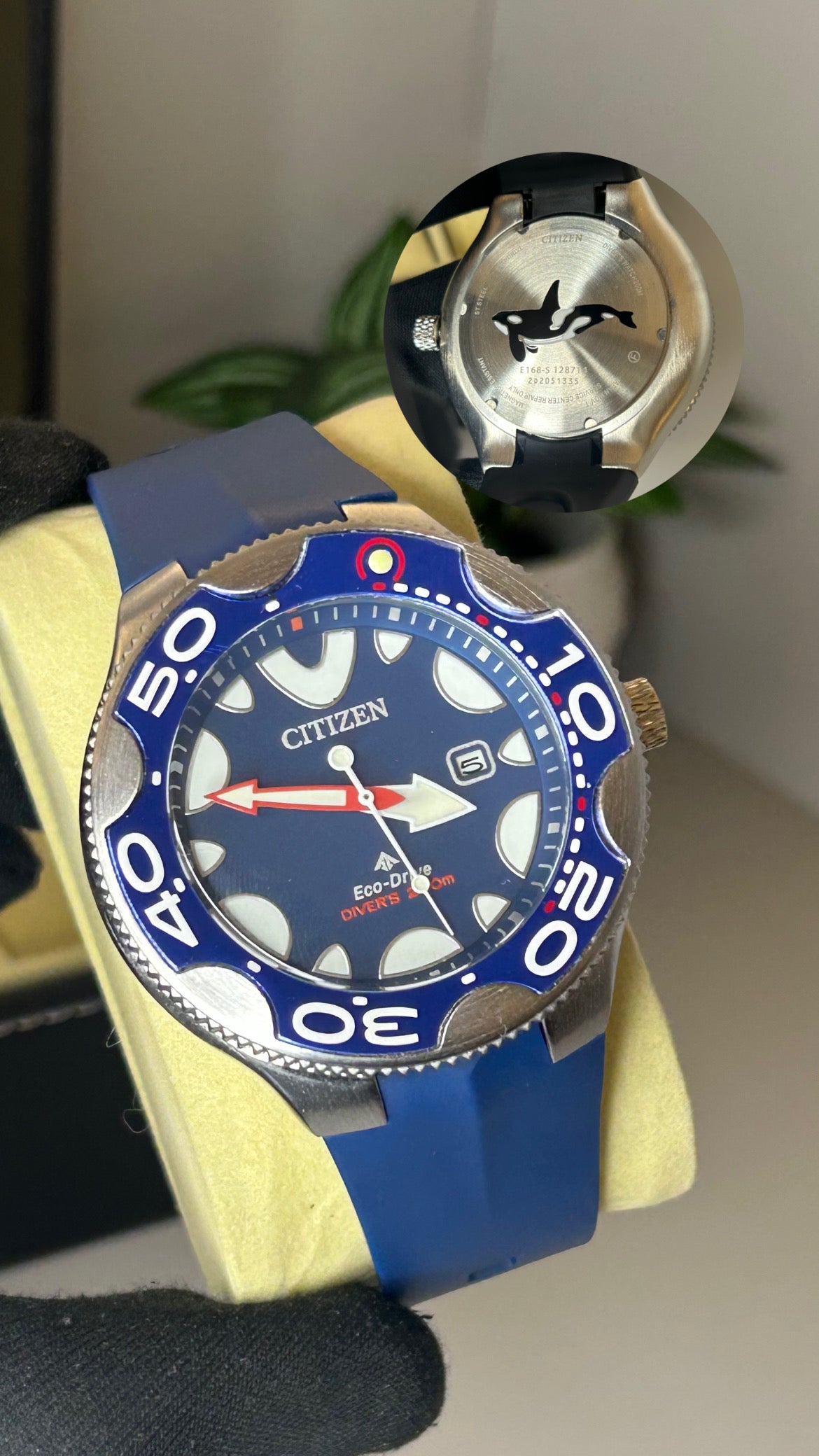 Relógio Citizen Eco-Drive Orca