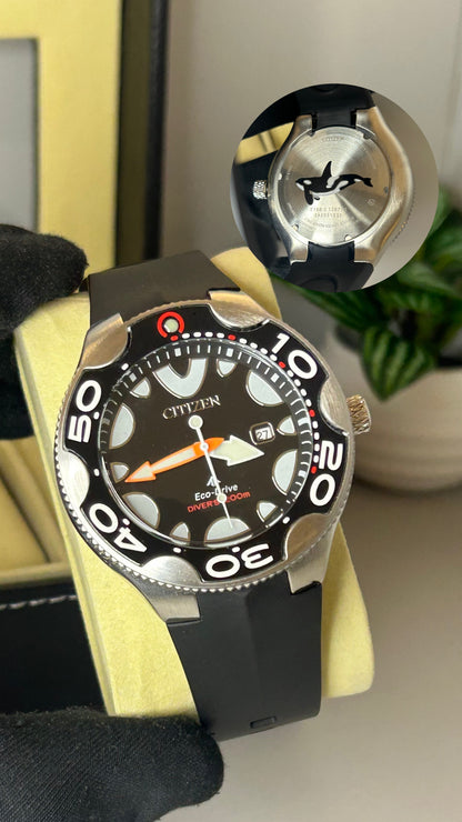 Relógio Citizen Eco-Drive Orca